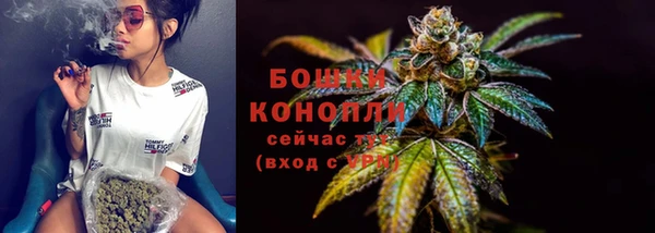 прущие крисы Елабуга
