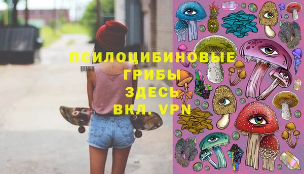 прущие крисы Елабуга