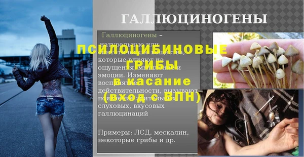 альфа пвп Елизово