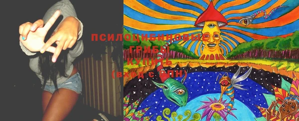 хмурый Заводоуковск