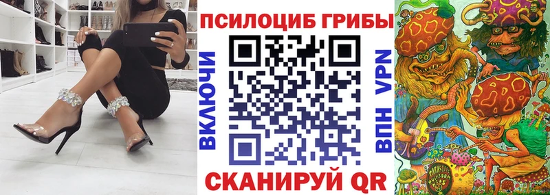 Купить Сердобск Псилоцибиновые грибы Psilocybine cubensis